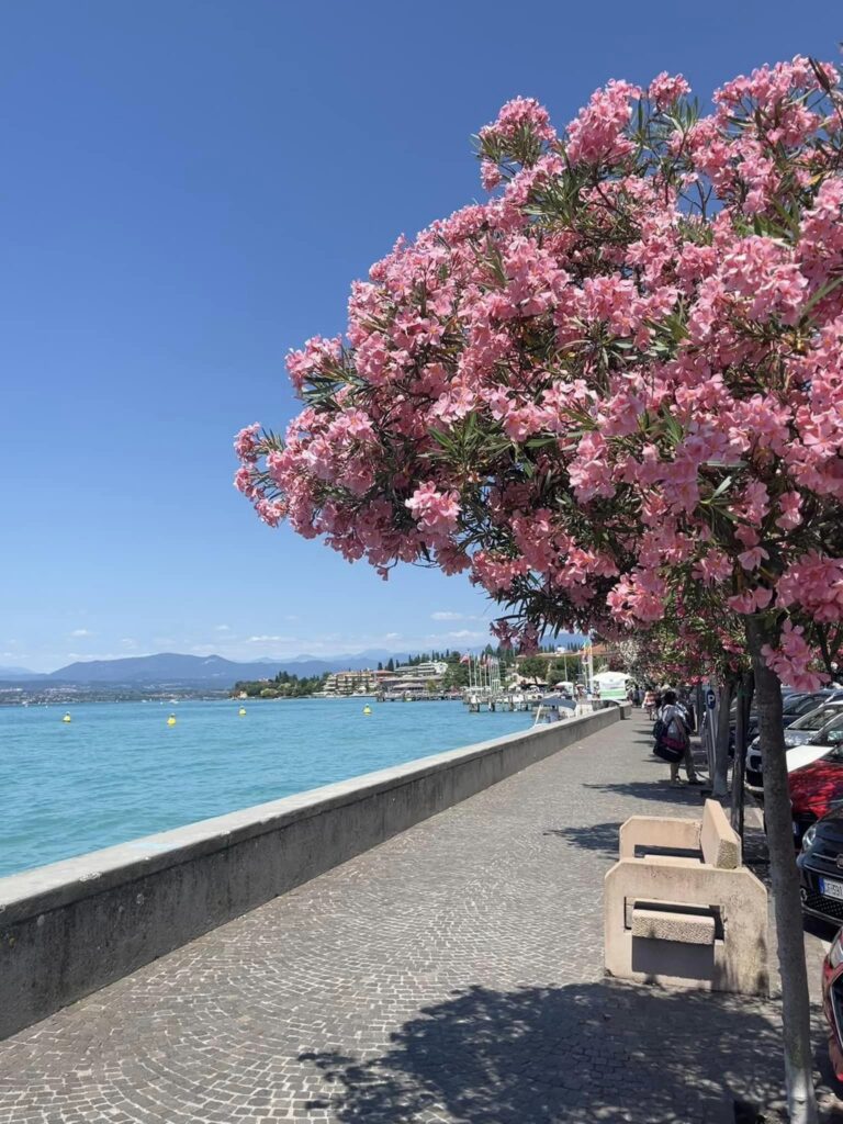 Blick auf den Gardasee